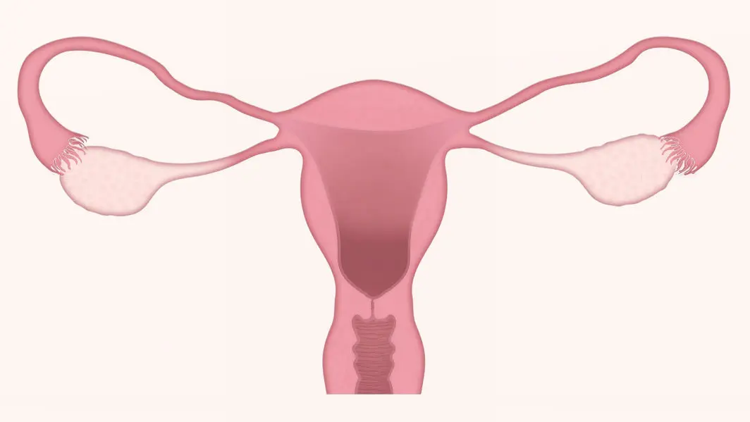 Chirurgie Ginecologică vNOTE 