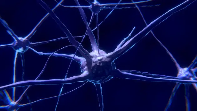 Neurochirurgie